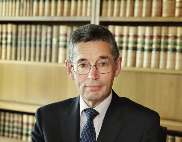 Nettle J judicial portrait